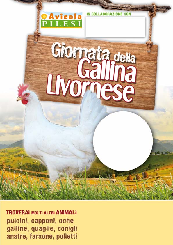 GallinaLivornese