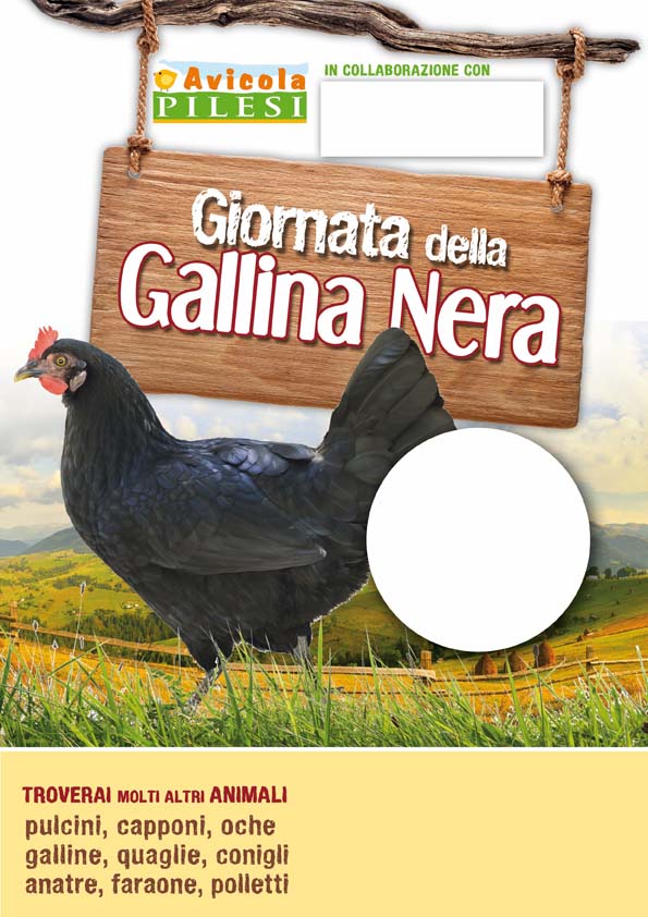 GallinaNera