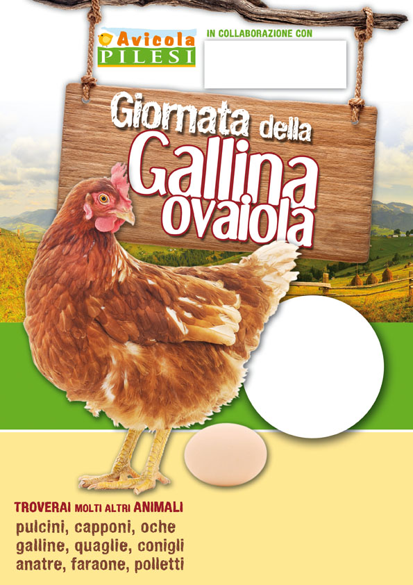 GallinaOvaiola
